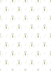 Wrapping Paper - Floral