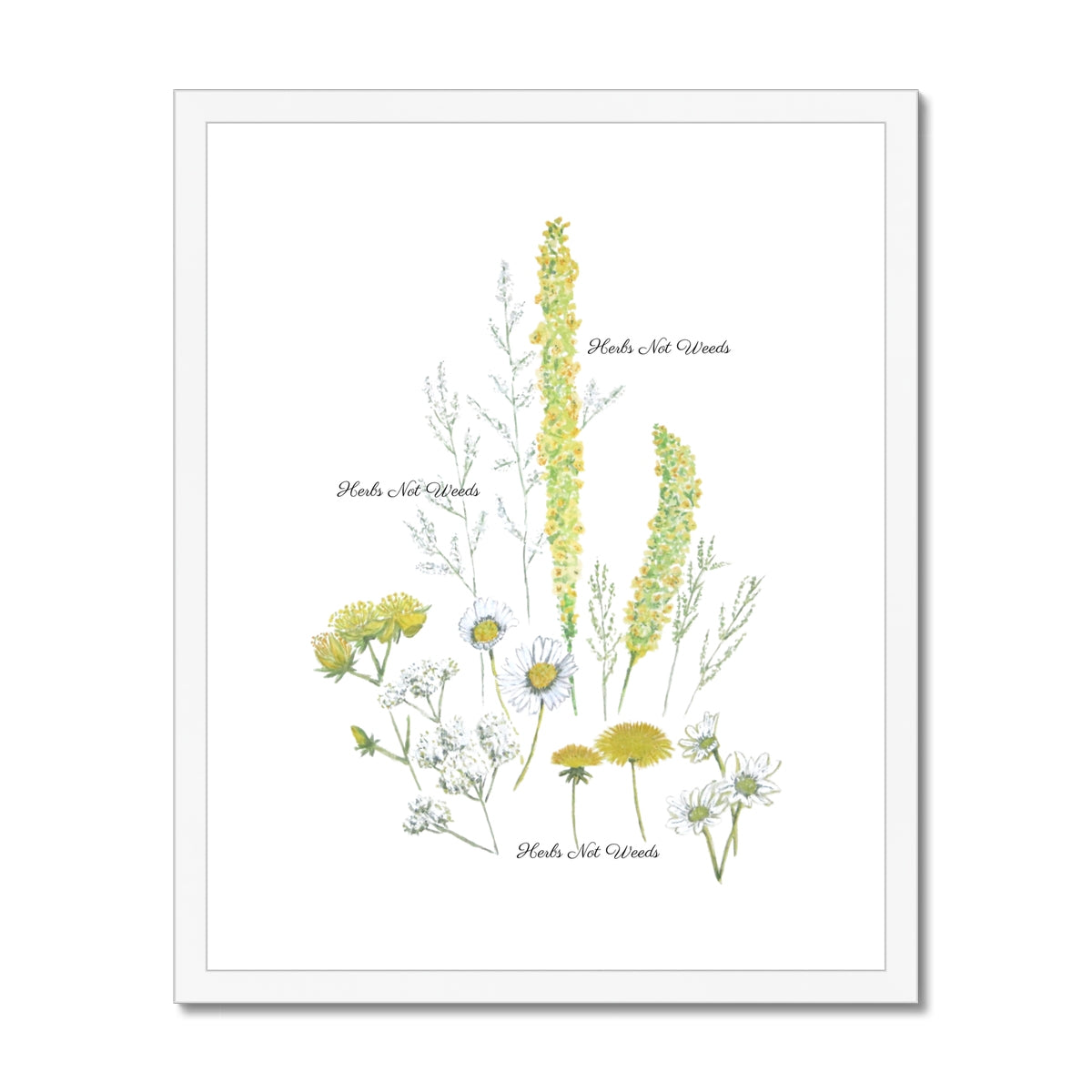 Herbs Not Weeds | Yellow | Framed & Mounted Print