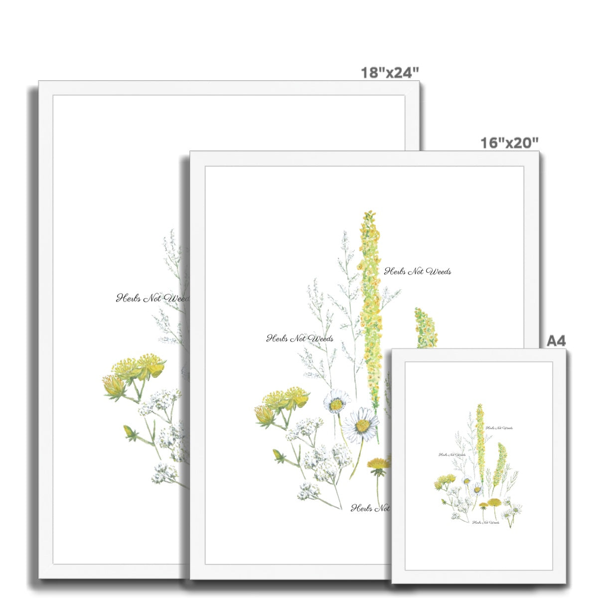 Herbs Not Weeds | Yellow | Framed & Mounted Print