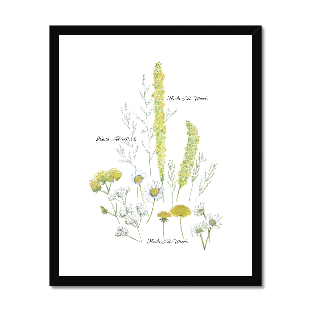 Herbs Not Weeds | Yellow | Framed & Mounted Print