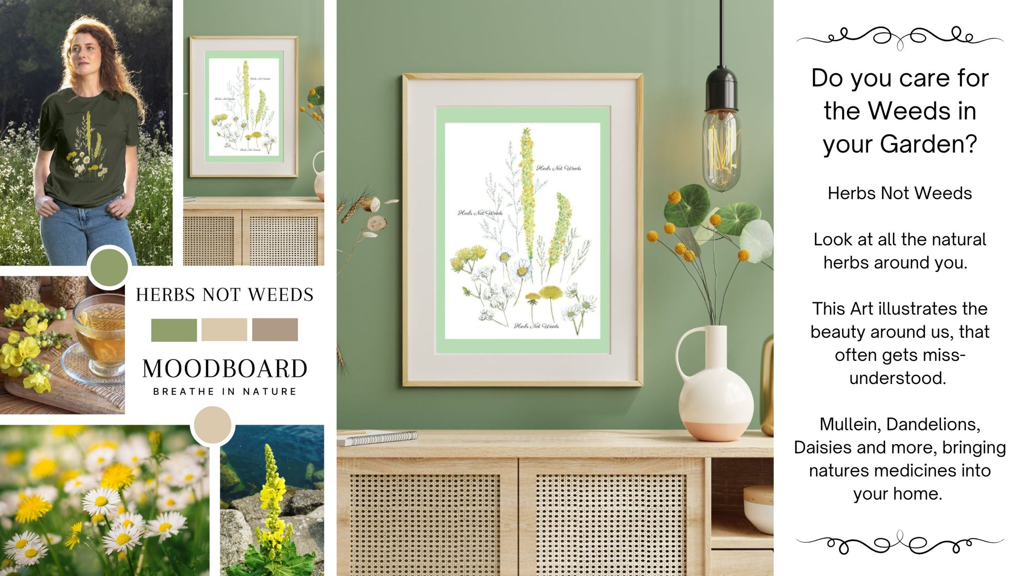 Framed botanical art print on a wall with decorative elements and text about herbs not weeds.