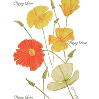 Poppy Love Floral Fine Art Print