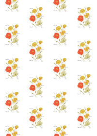Wrapping Paper - Floral