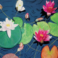 Waterlilies Hahnemühle Photo Rag Print