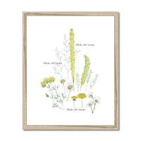 Herbs Not Weeds | Yellow | Framed & Mounted Print