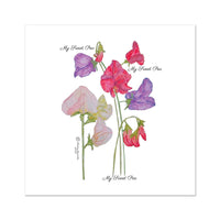 My Sweet Pea -  Fine Art Print