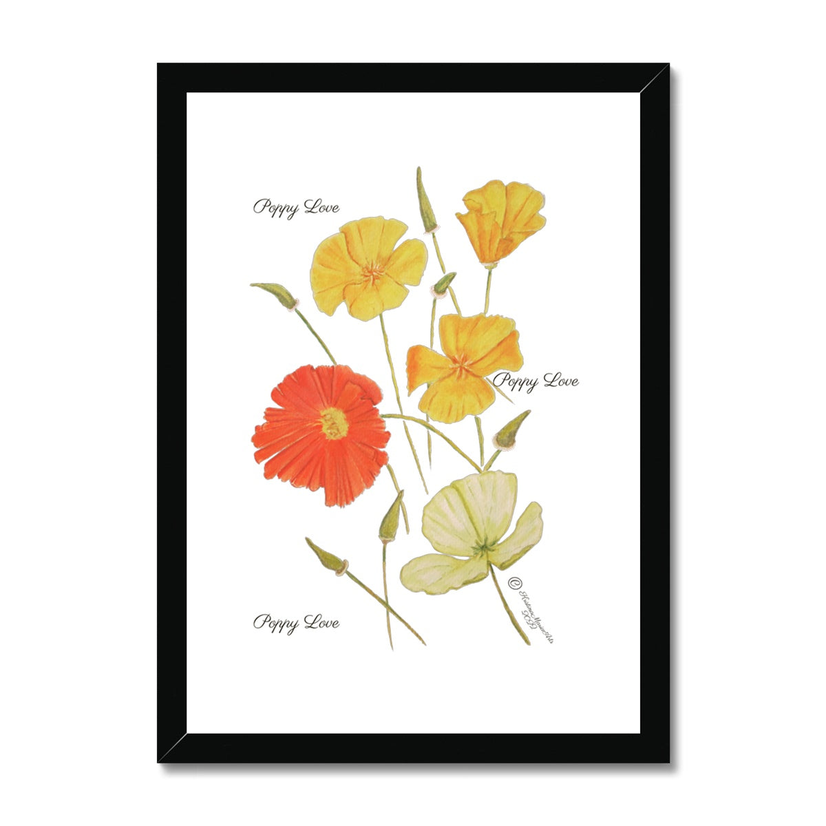 Poppy Love Framed & Mounted Print