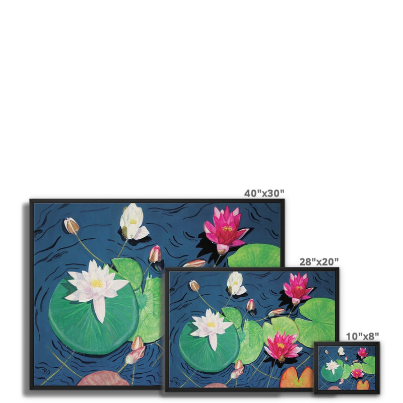 Waterlilies Framed Canvas