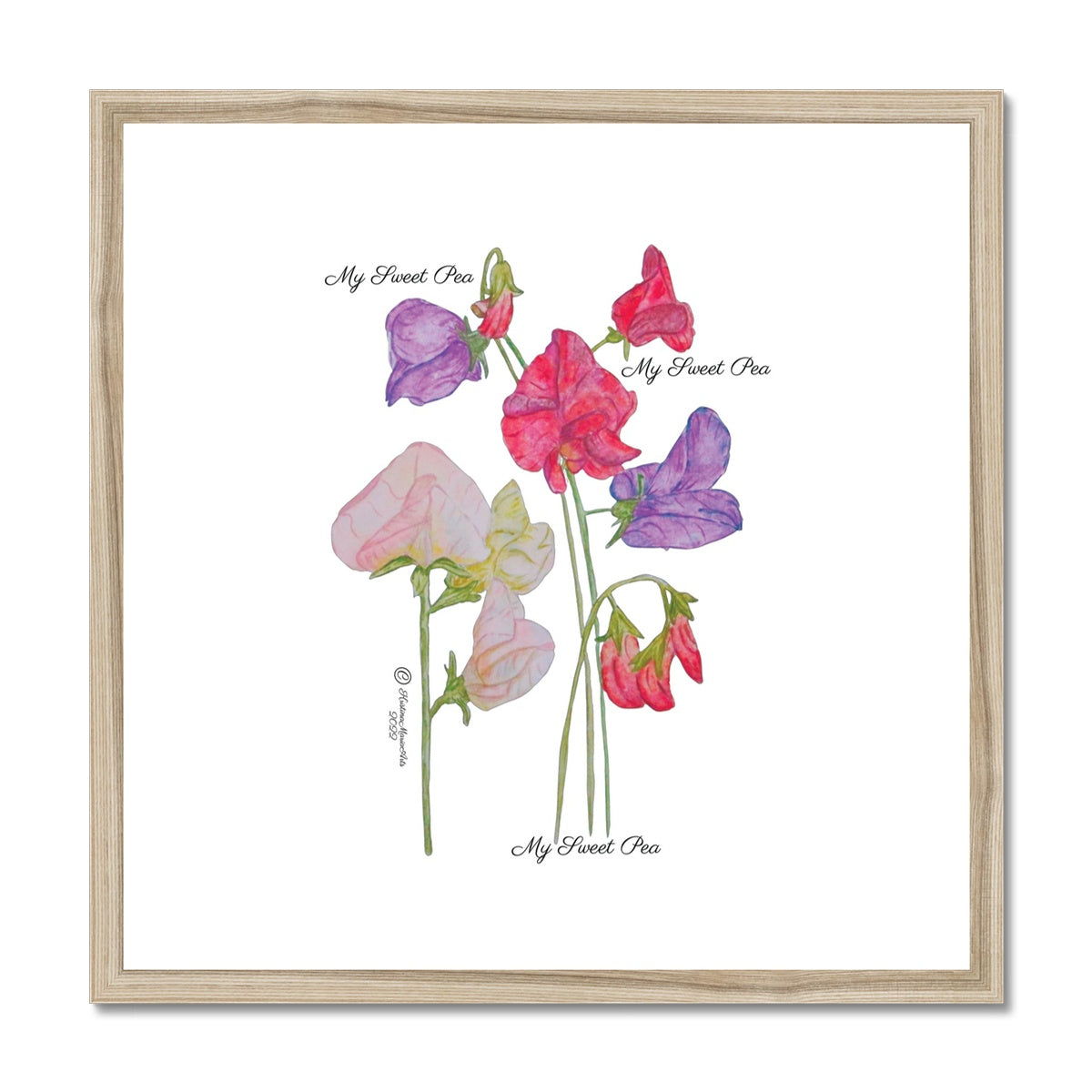 My Sweet Pea -  Framed & Mounted Print