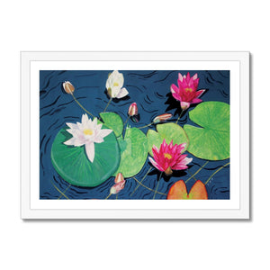 Waterlilies Framed Print