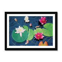 Waterlilies Framed Print