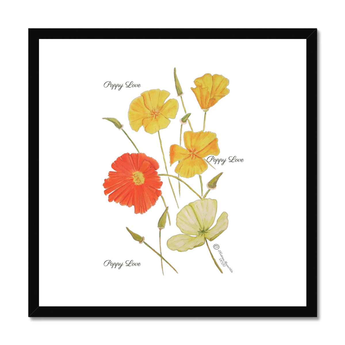 Poppy Love Framed & Mounted Print