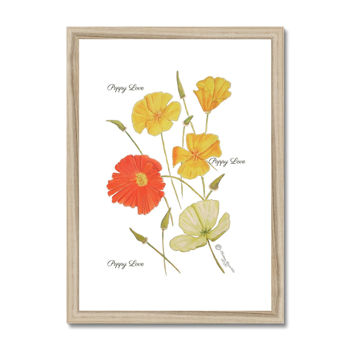 Poppy Love Framed & Mounted Print