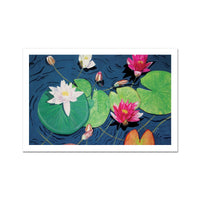 Waterlilies Hahnemühle Photo Rag Print