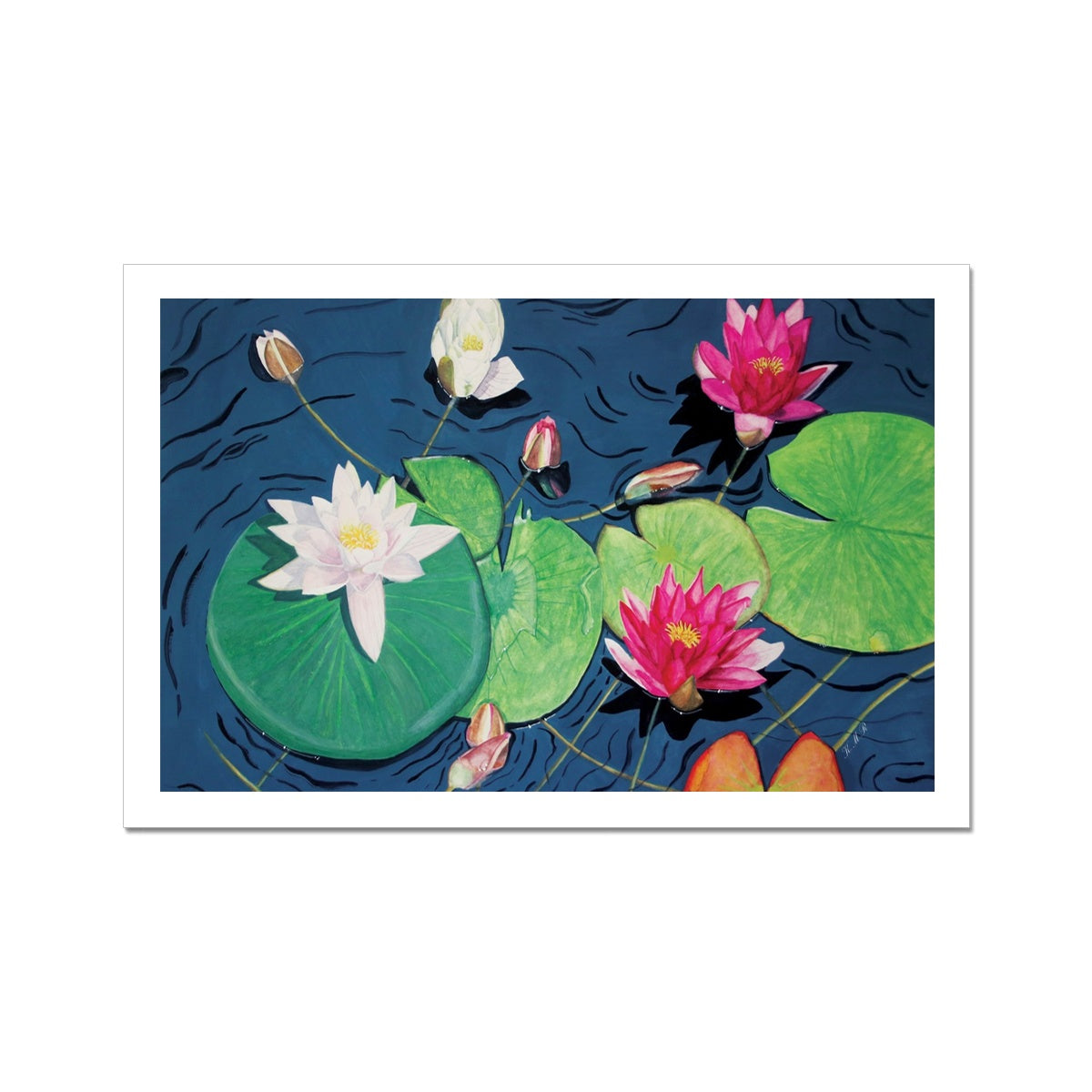 Waterlilies Fine Art Print