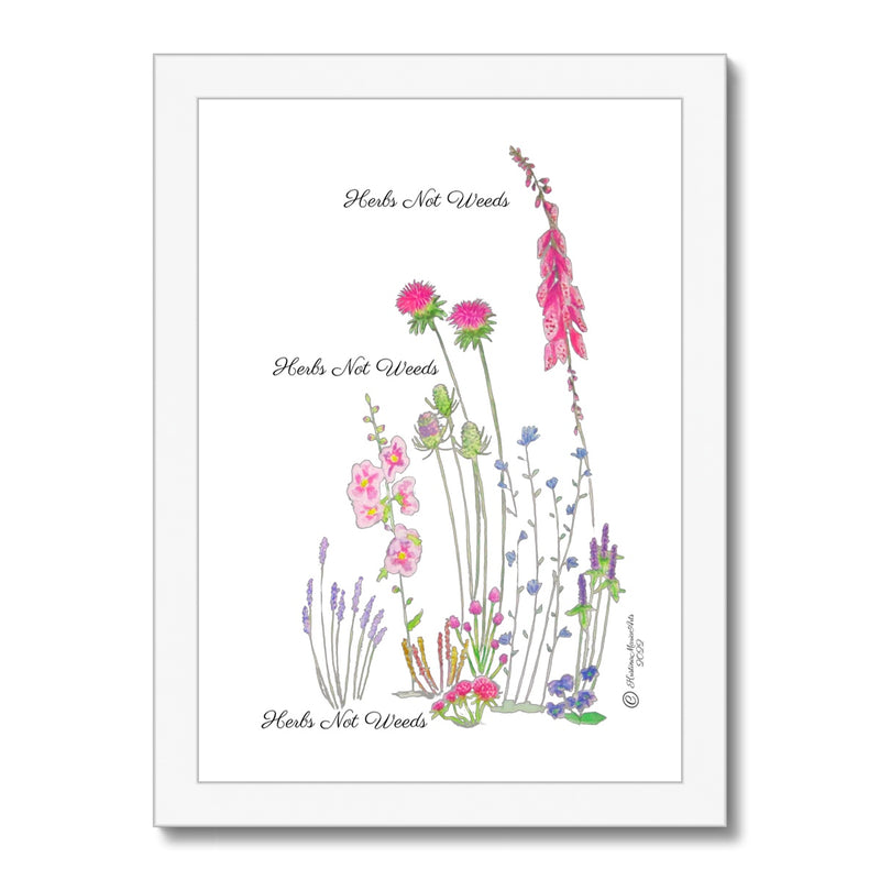 Herbs Not Weeds - Purple Framed Print