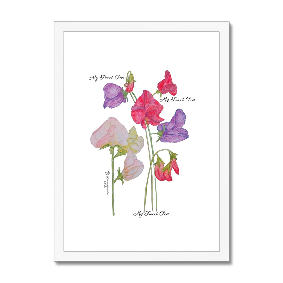 My Sweet Pea -  Framed & Mounted Print