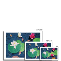 Waterlilies Fine Art Print