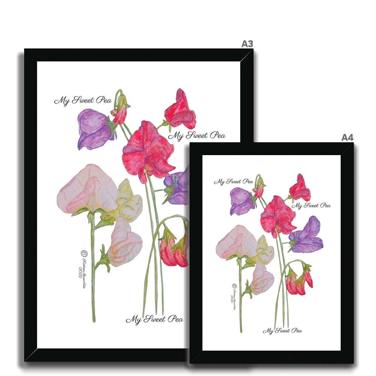 My Sweet Pea - Natural Framed Print