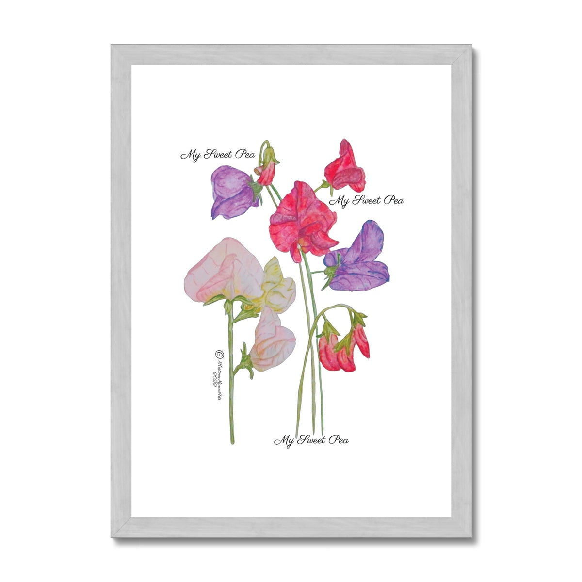 My Sweet Pea - Antique Framed & Mounted Print