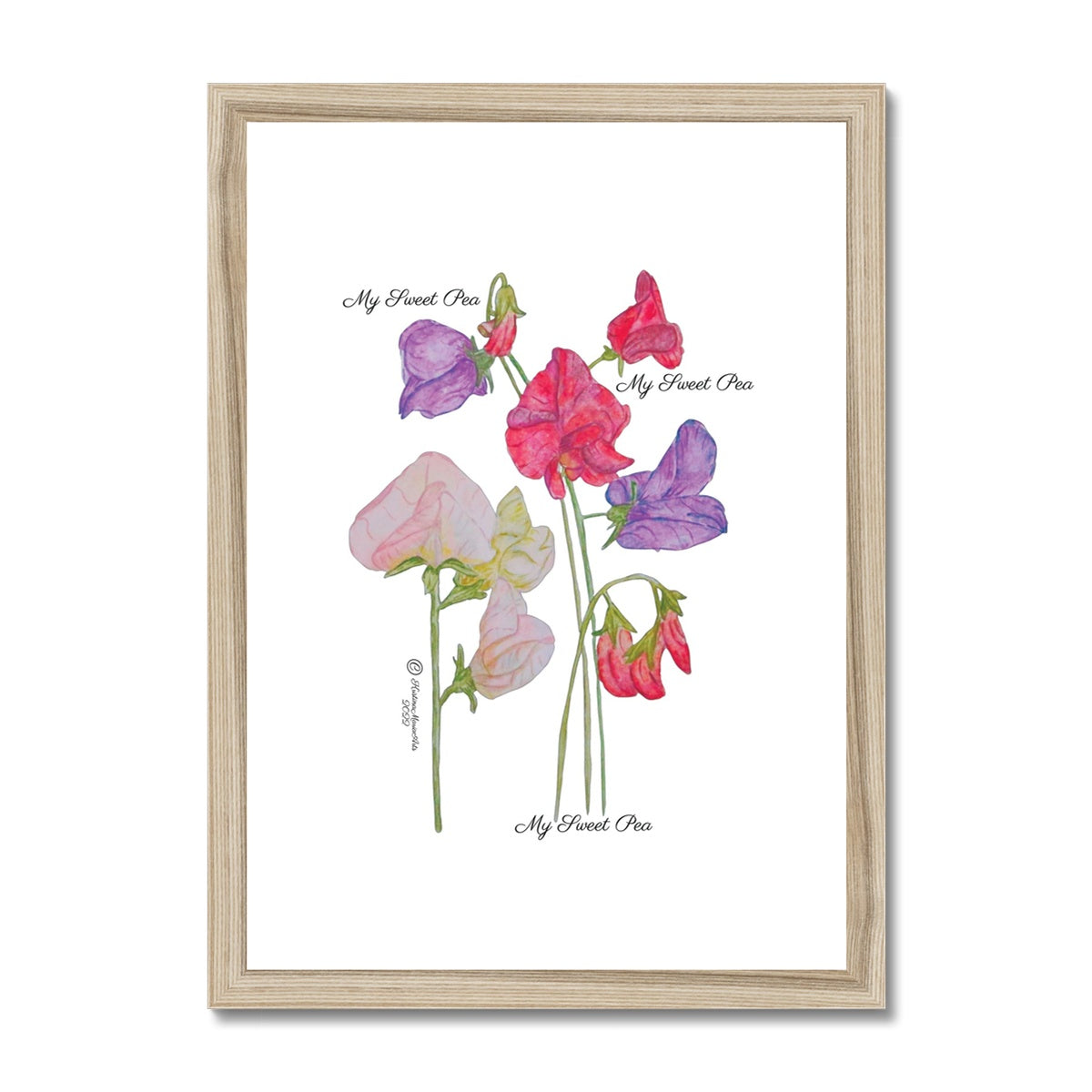 My Sweet Pea -  Framed & Mounted Print