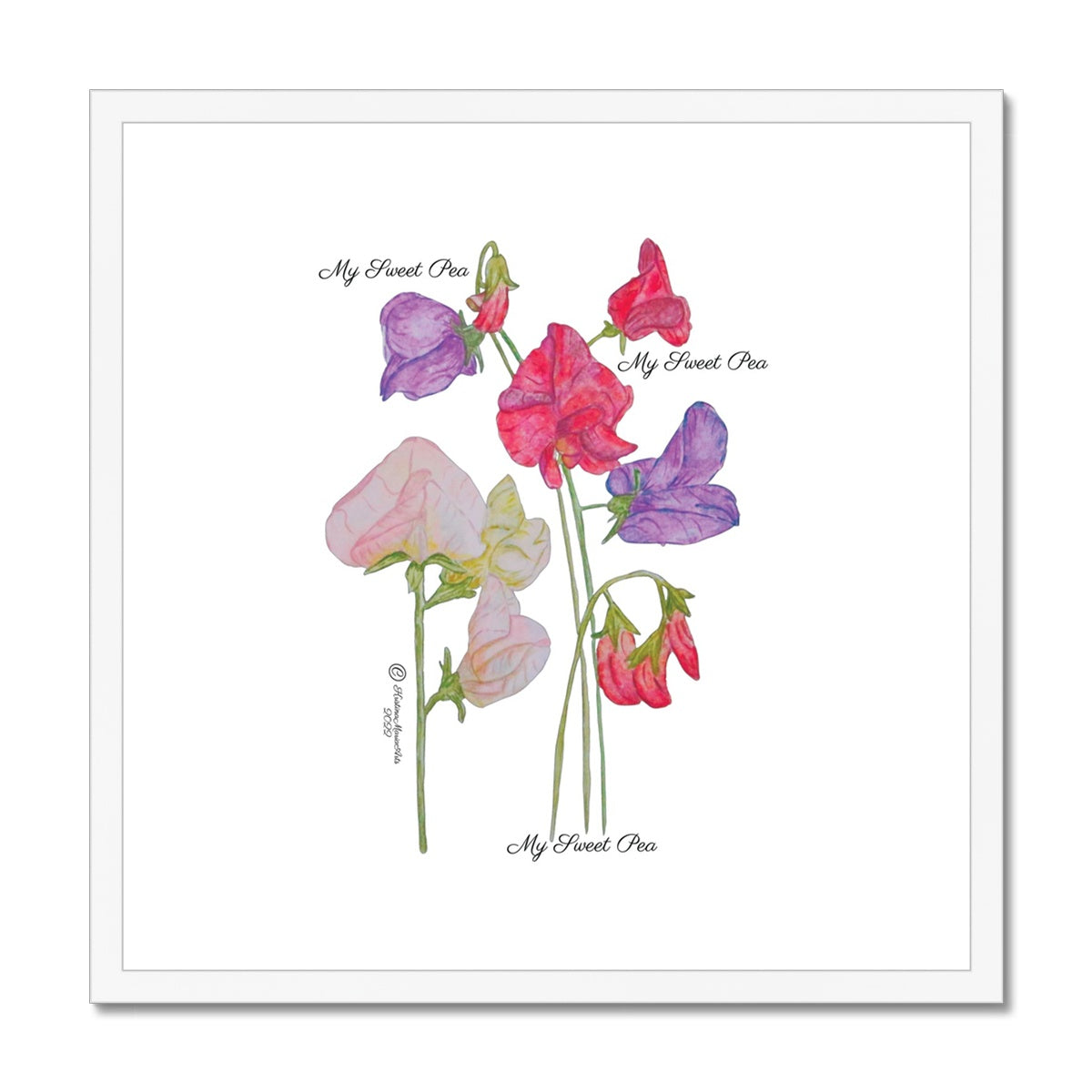 My Sweet Pea -  Framed & Mounted Print