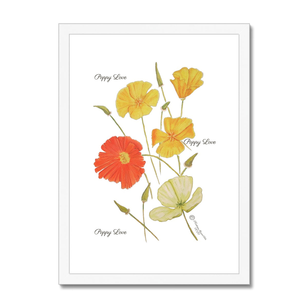 Poppy Love Framed & Mounted Print