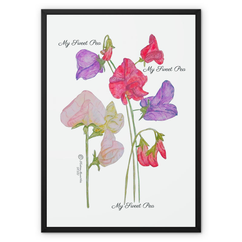 My Sweet Pea Floral Print on Canvas. Frame choice, Black, White, Natural, Gold, Silver, Brown